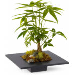 Test Product N1